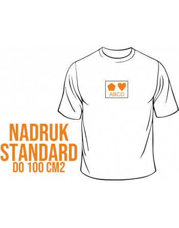 Nadruk flex do 100cm2 Standard