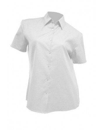 Koszula Damska z Krótkim...